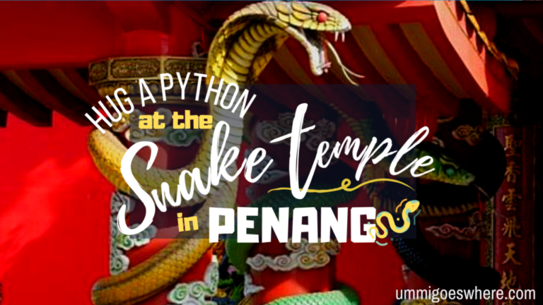 Visiting Penang Snake Temple: Review & Guide