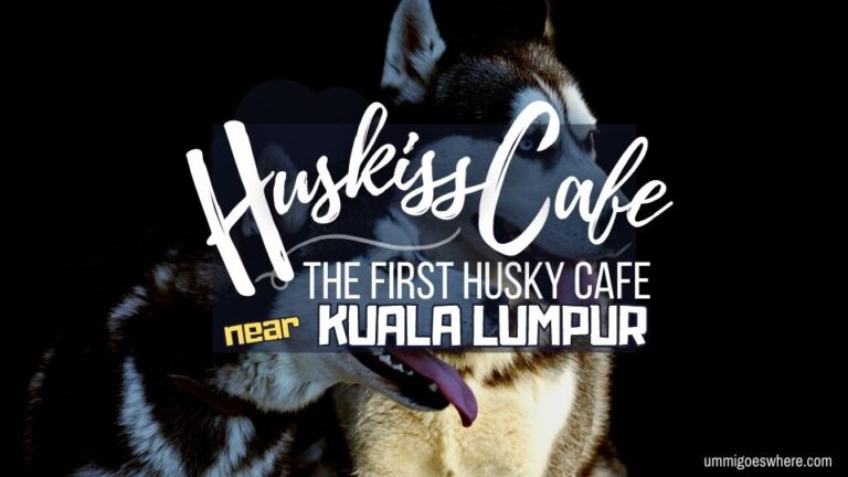 Huskiss Cafe: Sip, Snack, and Snuggle with Siberian Huskies