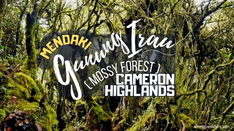 Pengalaman Mendaki Gunung Irau (Mossy Forest) Cameron Highlands