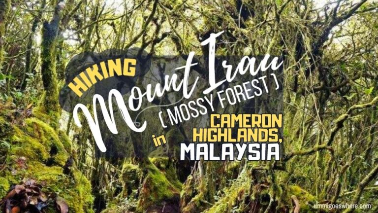 Hiking Mount Irau Mossy Forest in Cameron Highlands: A Trip to Nature’s Magical Wonderland