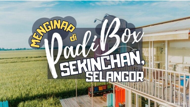 Padi Box, Sekinchan – Penginapan Unik Kontena di Tengah Sawah