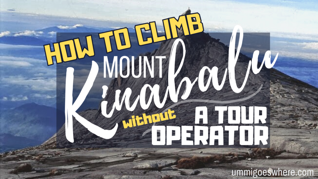 Mount Kinabalu for Solo Travelers: How to Climb Malaysia’s Tallest ...