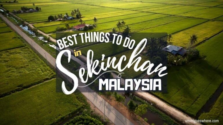 Top 16 Things to Do in & Around Sekinchan: A Complete Guide on Selangor’s Idyllic Rice Farming Town