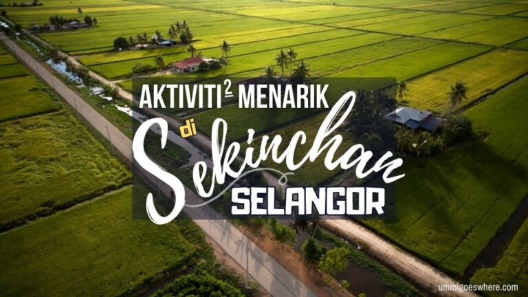 16 Aktiviti Menarik di Sekinchan & Kuala Selangor (Panduan Lengkap)