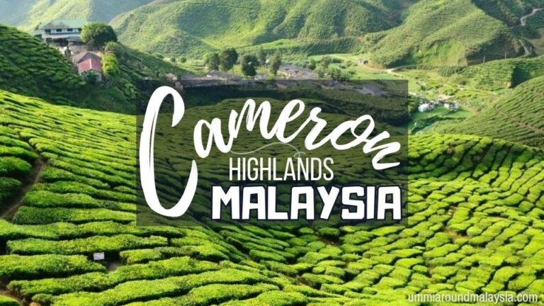 Cameron Highlands Travel Guide & 24 Things to Do in this Tea Region