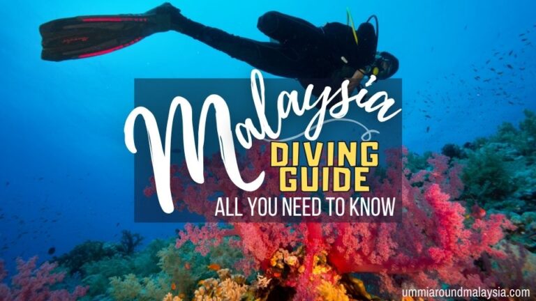 Your Guide to Scuba Diving in Malaysia: Best Dive Spots, PADI Courses & Tips