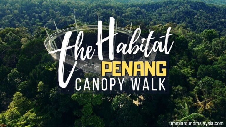 The Habitat Penang: Rainforest Escape Just Minutes from George Town