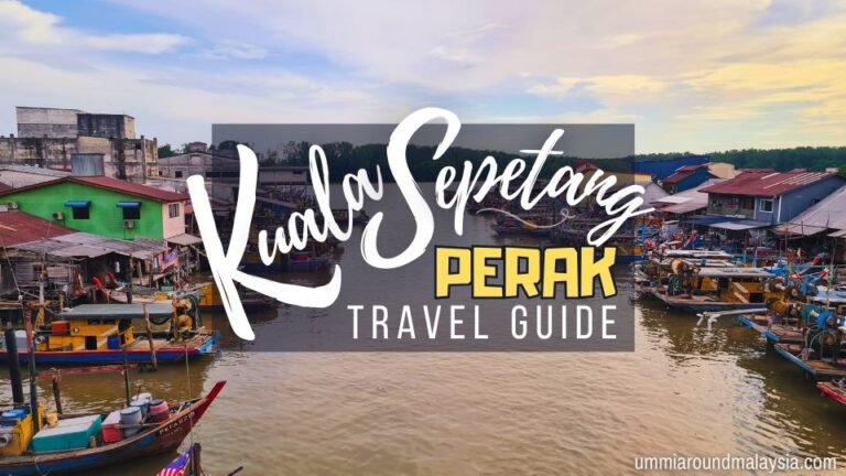 Kuala Sepetang Travel Guide: Mangrove Forest, River Cruise & Seafood