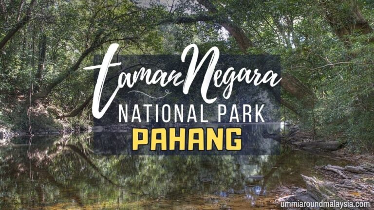 A Complete Guide to Visiting Taman Negara: Malaysia’s Oldest National Park