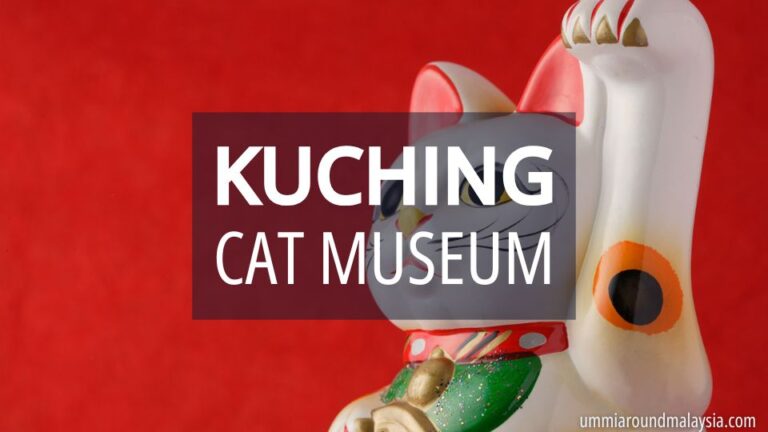 Visiting the Kuching Cat Museum: Tickets, Opening Hours & Highlights