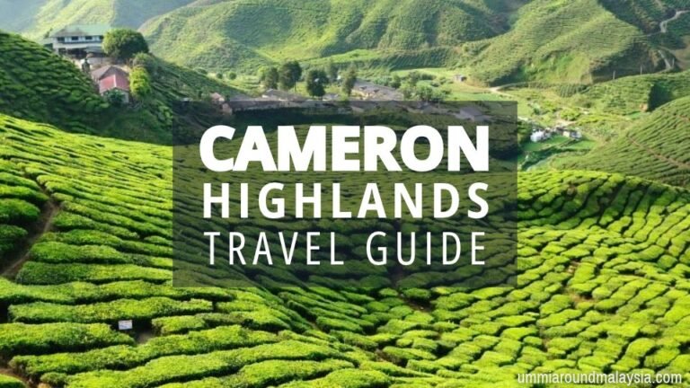 Cameron Highlands Travel Guide & 24 Things to Do in this Tea Region