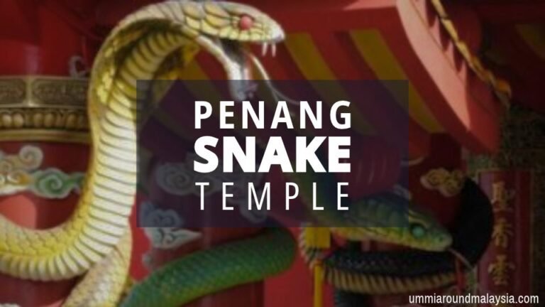 Visiting Penang Snake Temple: What to Expect, How to Get There & Is It Worth It?
