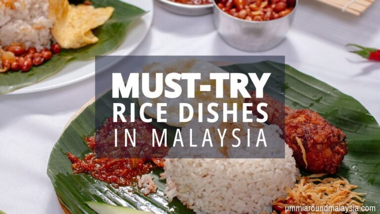 10 Types of Malaysian Rice Dishes that You Must Try