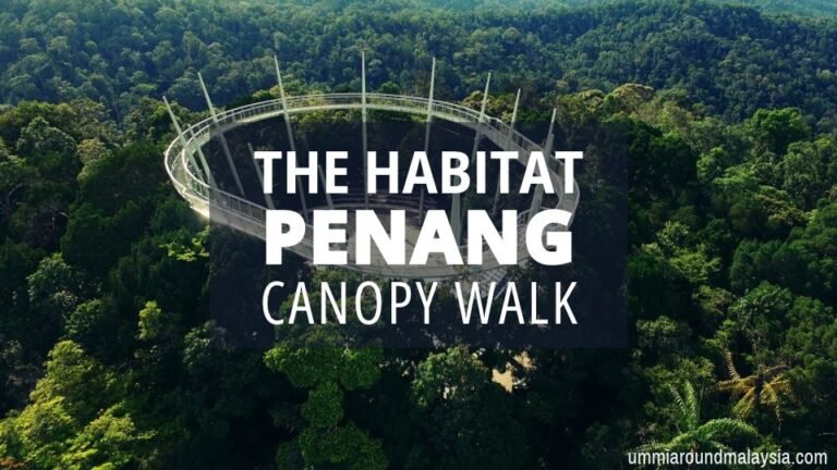 The Habitat Penang: Rainforest Escape Just Minutes from George Town