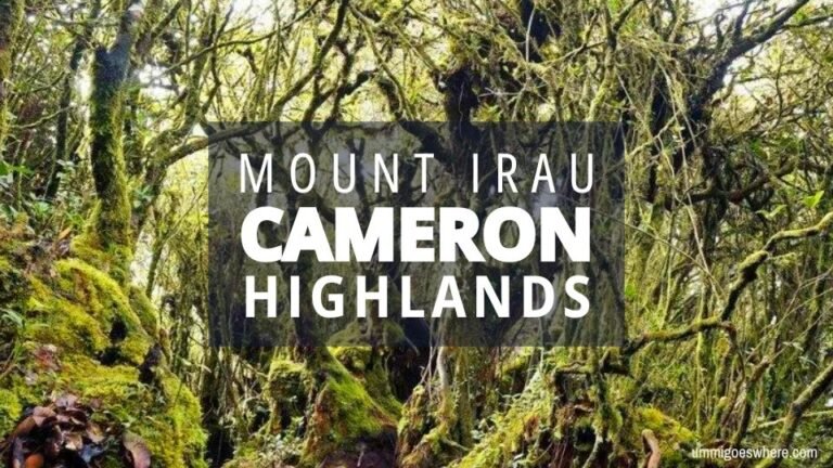 Hiking Mount Irau & Mossy Forest, Cameron Highlands: What to Know Before You Go