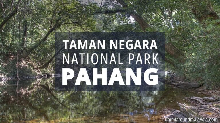 A Complete Guide to Visiting Taman Negara: Malaysia’s Oldest National Park
