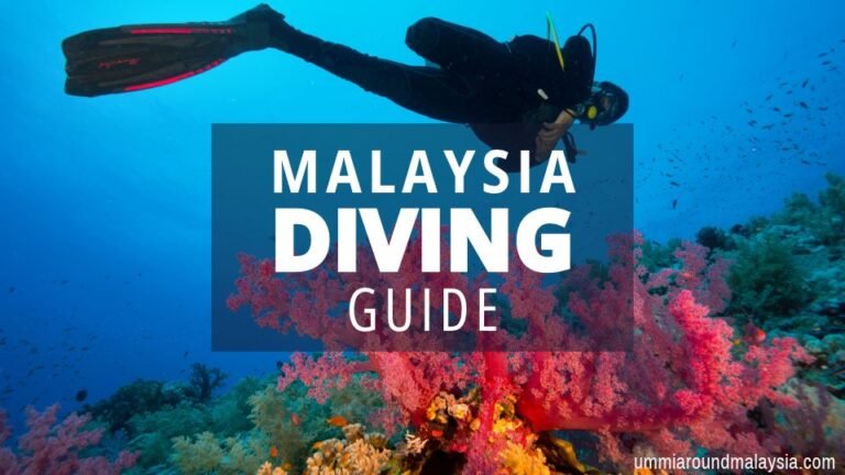 Your Guide to Scuba Diving in Malaysia: Best Dive Spots, PADI Courses & Tips