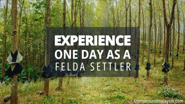 This Farmstay in Negeri Sembilan Lets You Experience Life as a FELDA Settler